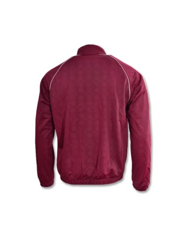 Men's Nike Giannis Basketball Lightweight Jacket Red DQ5660638