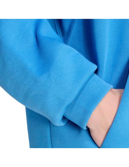 Men's adidas ALL SZN Fleece Hoodie blue KC3182