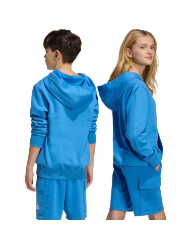 adidas Essentials Hoodie for kids blue KD3382