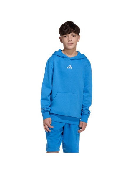 adidas Essentials Hoodie for kids blue KD3382