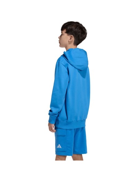 adidas Essentials Hoodie for kids blue KD3382