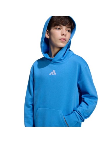 adidas Essentials Hoodie for kids blue KD3382