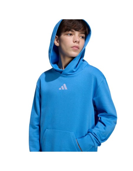 adidas Essentials Hoodie for kids blue KD3382