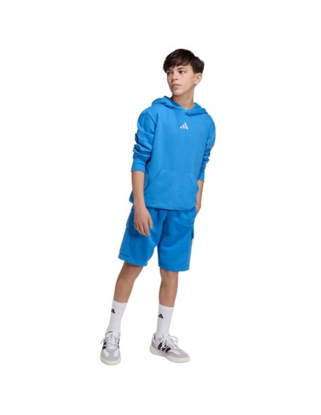 adidas Essentials Hoodie for kids blue KD3382