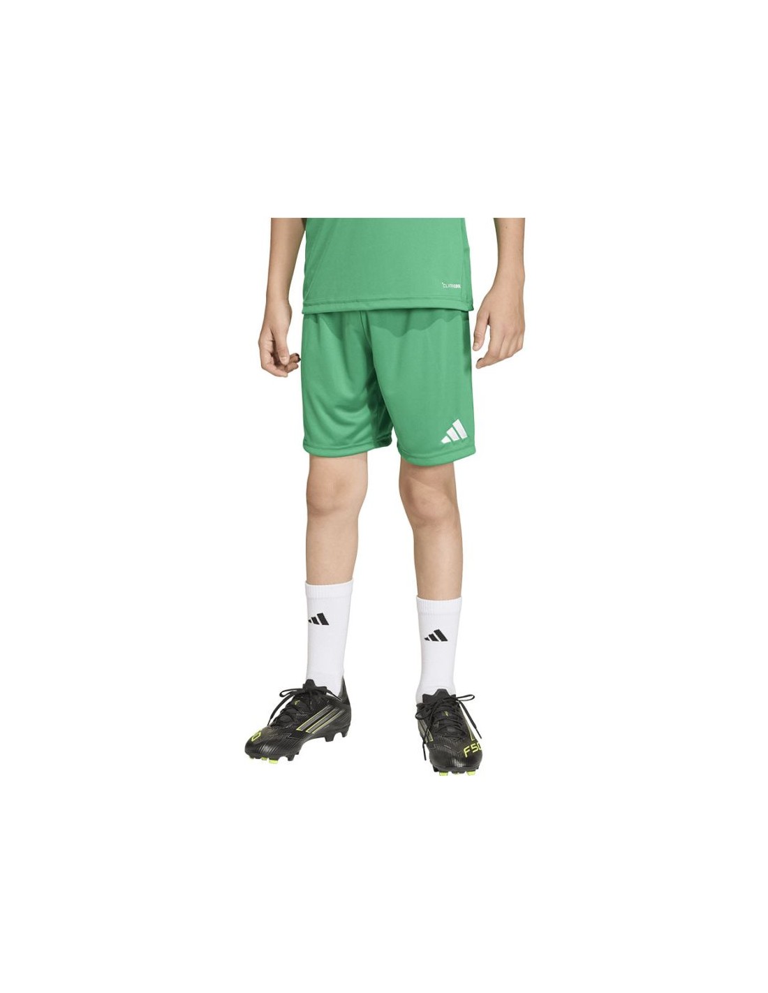 adidas Entrada 26 JZ6530 kids' shorts