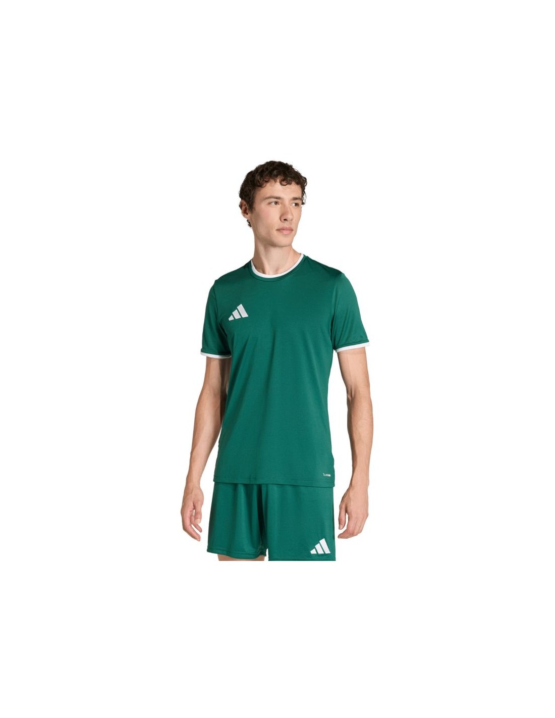 Men's adidas Entrada 26 Jersey green KE9832