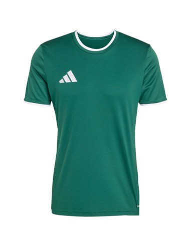 Men's adidas Entrada 26 Jersey green KE9832