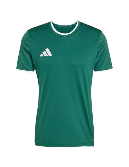 Men's adidas Entrada 26 Jersey green KE9832