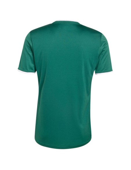 Men's adidas Entrada 26 Jersey green KE9832