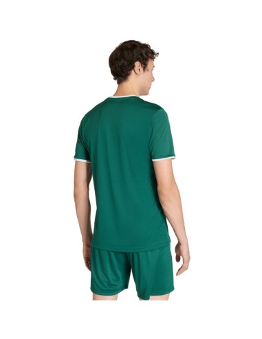 Men's adidas Entrada 26 Jersey green KE9832