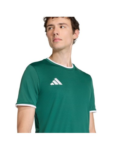 Men's adidas Entrada 26 Jersey green KE9832
