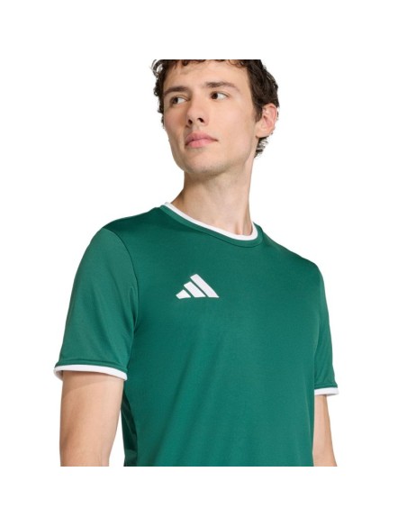 Men's adidas Entrada 26 Jersey green KE9832