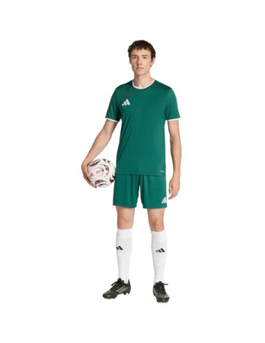 Men's adidas Entrada 26 Jersey green KE9832