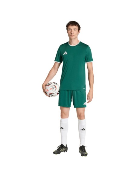 Men's adidas Entrada 26 Jersey green KE9832