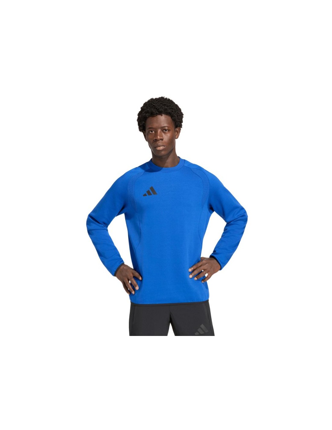 Men's adidas Tiro 26 Travel Crew sweatshirt blue KD1146
