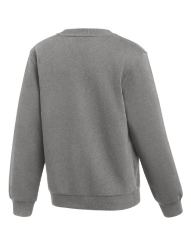 Nike Park 26 Fleece Crew Kids' Sweatshirt Gray IB1188 063
