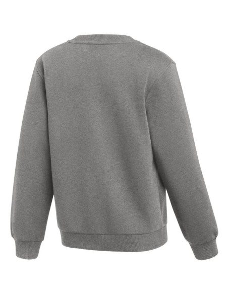 Nike Park 26 Fleece Crew Kids' Sweatshirt Gray IB1188 063
