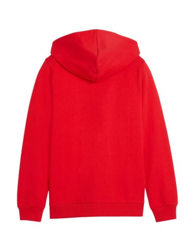 Puma teamGoal Casuals Hooded kids' sweatshirt red 658596 01