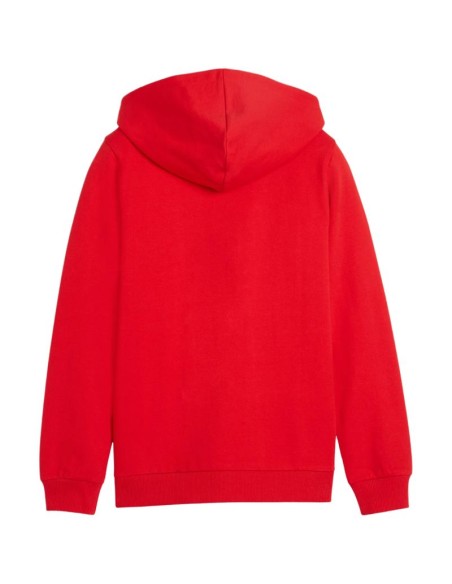 Puma teamGoal Casuals Hooded kids' sweatshirt red 658596 01