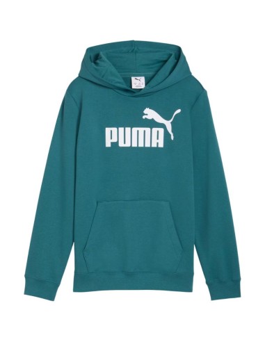 Puma ESS No 1 Logo Hoodie for Kids Green 684909 41
