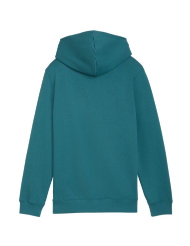 Puma ESS No 1 Logo Hoodie for Kids Green 684909 41