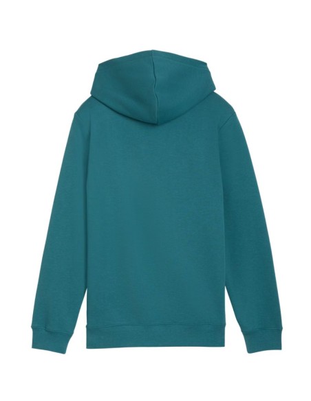 Puma ESS No 1 Logo Hoodie for Kids Green 684909 41