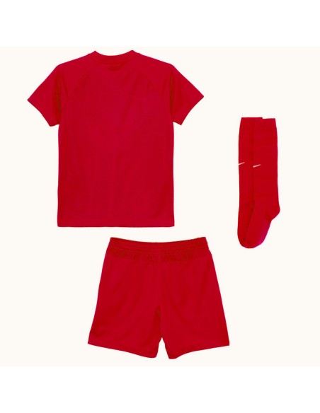 Nike Park VIII HV8260657 set