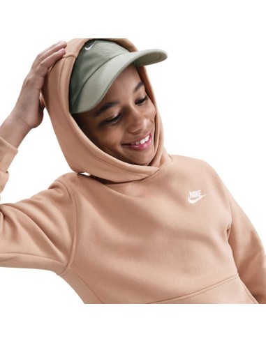 Nike Sportswear Club Fleece Beige Kids' Sweatshirt FD3000 200