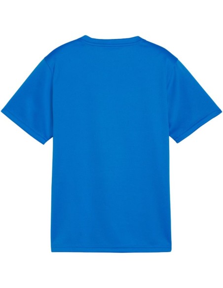 Puma TeamGoal Jersey for kids blue 658637 02
