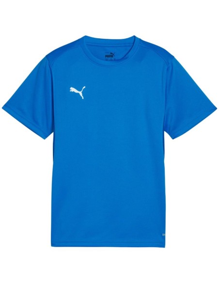 Puma TeamGoal Jersey for kids blue 658637 02