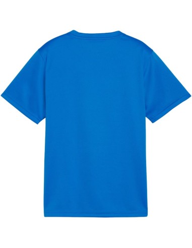Puma TeamGoal Jersey for kids blue 658637 02