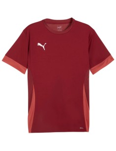 Puma teamGoal Matchday Jersey men's burgundy 705747 09