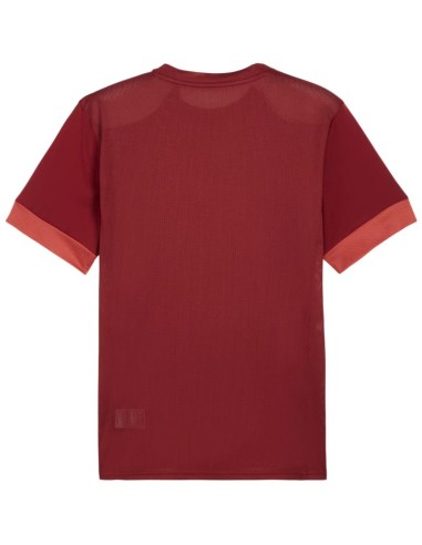 Puma teamGoal Matchday Jersey men's burgundy 705747 09
