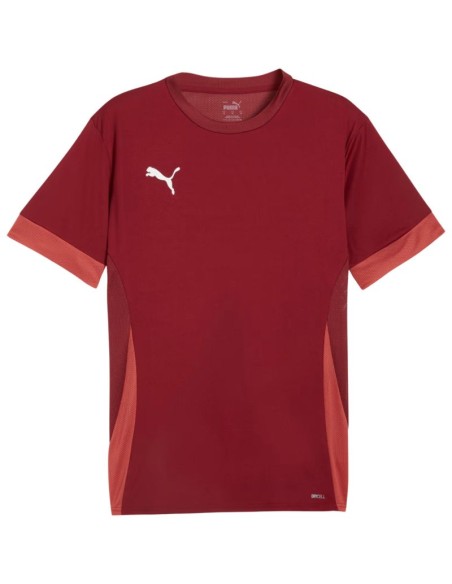 Puma teamGoal Matchday Jersey men's burgundy 705747 09