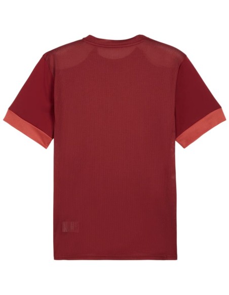 Puma teamGoal Matchday Jersey men's burgundy 705747 09