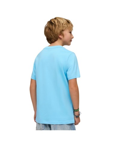 Puma ESS Small No 1 Logo Centered Tee for Kids Blue 692975 45