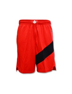 Nike Toronto Raptors Swingman Shorts Road University RedWhite CN8089657