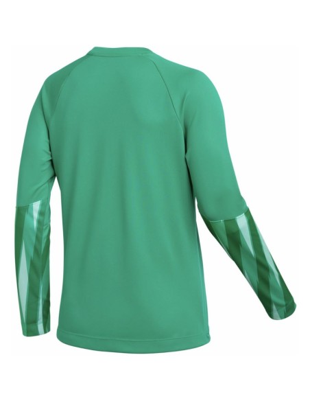 Nike DriFit Park V Stadium Women's Jersey Green HV8316 324