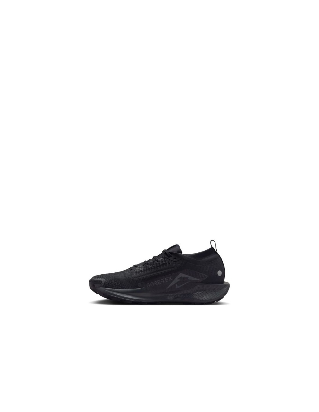 Nike W REACTX PEGASUS TRAIL 5 GTX FQ0912002