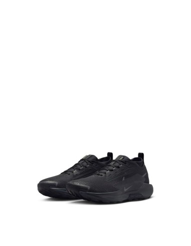 Nike W REACTX PEGASUS TRAIL 5 GTX FQ0912002