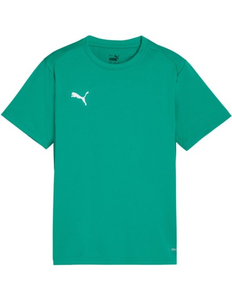 Puma TeamGoal Jersey for kids green 658637 05