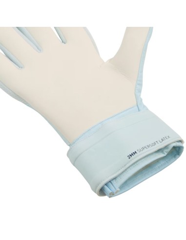 Puma Future Play NC Goalkeeper Gloves Blue 42125 02