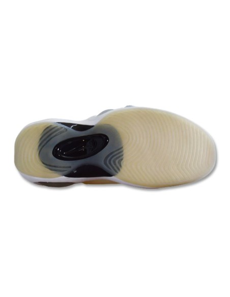 Nike Air Zoom Flight 95 Beige Basketball Shoes DX5505100