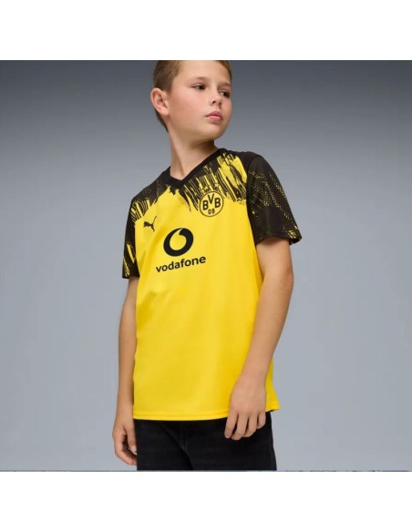 Puma Borussia Dortmund Jersey Replica 78008801
