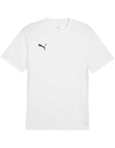 Men's Puma TeamGoal Jersey white 658636 04