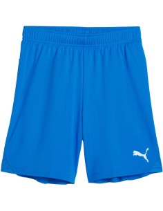 Puma Team Goal kids' shorts blue 705753 02