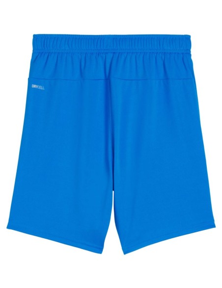 Puma Team Goal kids' shorts blue 705753 02