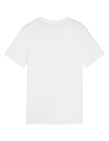 Puma Team Goal Casuals Tee Jr 658616 04