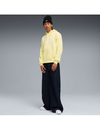 Puma ESS No1 Logo Hoodie FL M 682571 35