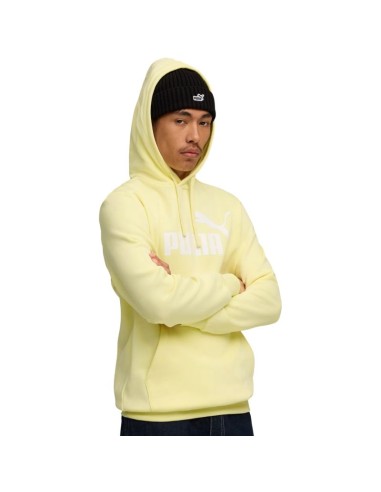 Puma ESS No1 Logo Hoodie FL M 682571 35